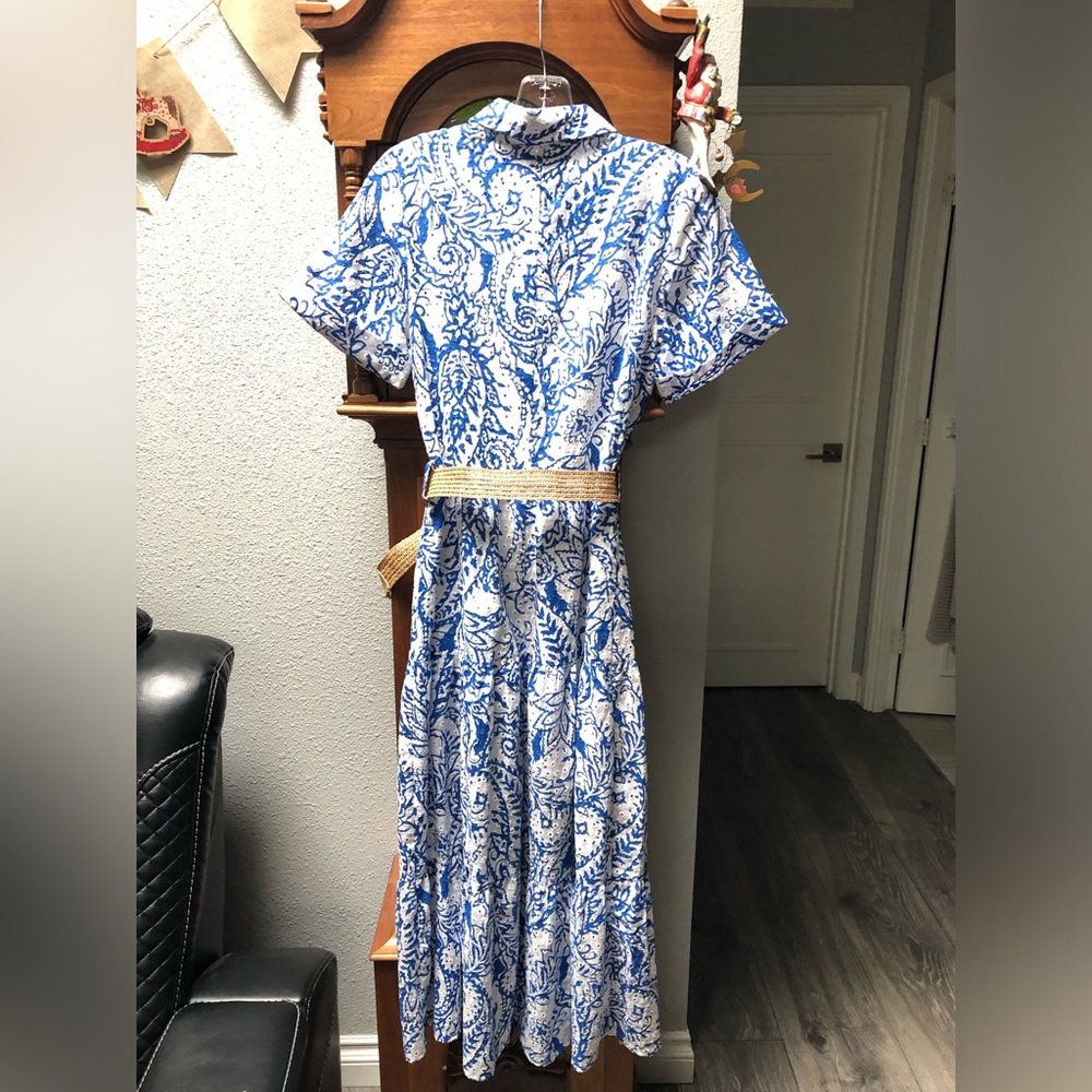 Zara Blue and White Paisley Button-Front Maxi Dress - Picture 4 of 10